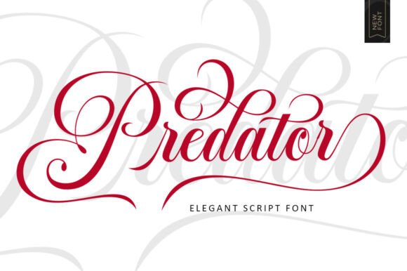 Predator Script: A Creative Font for Modern Elegance